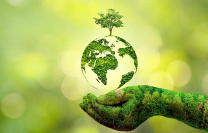 Preservação ambiental